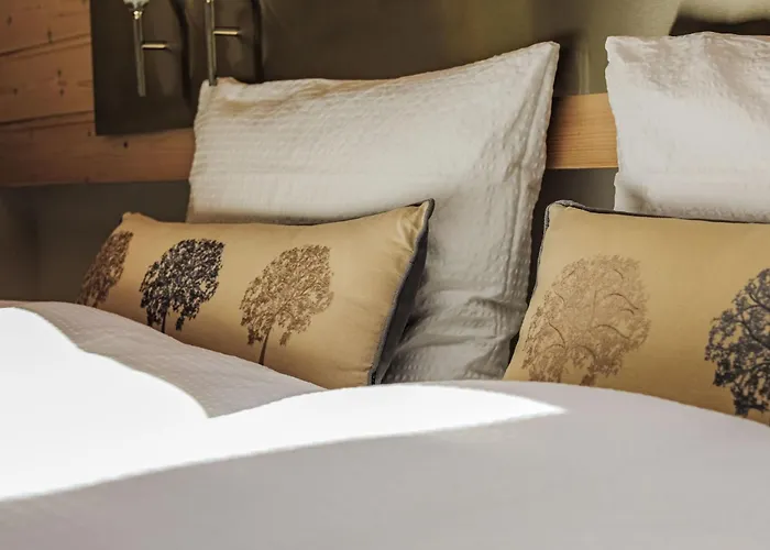 Chateau B-4 By Interhome サース フェー